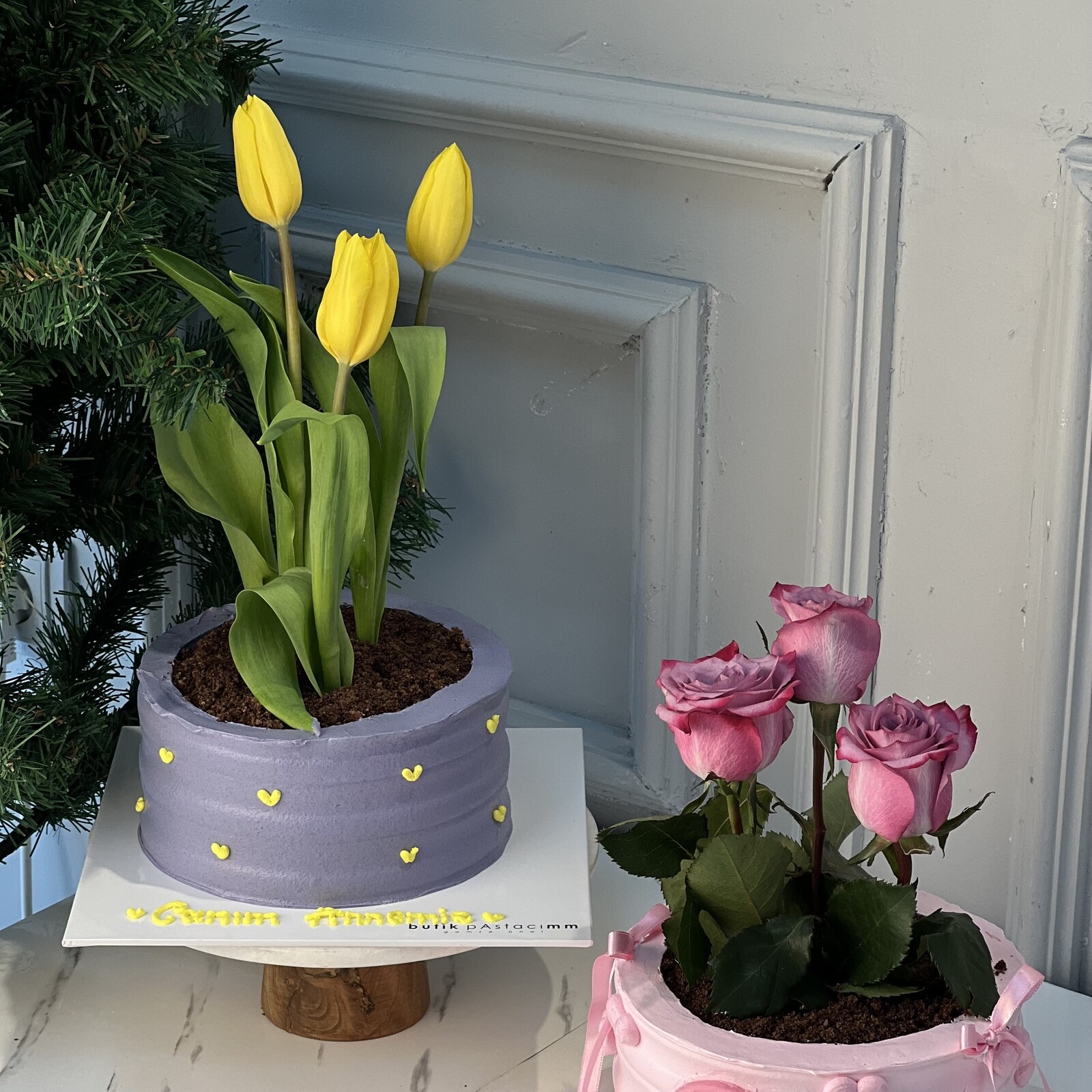 Anneler Günü Pastası (Saksıda Sarı Lale Pasta)