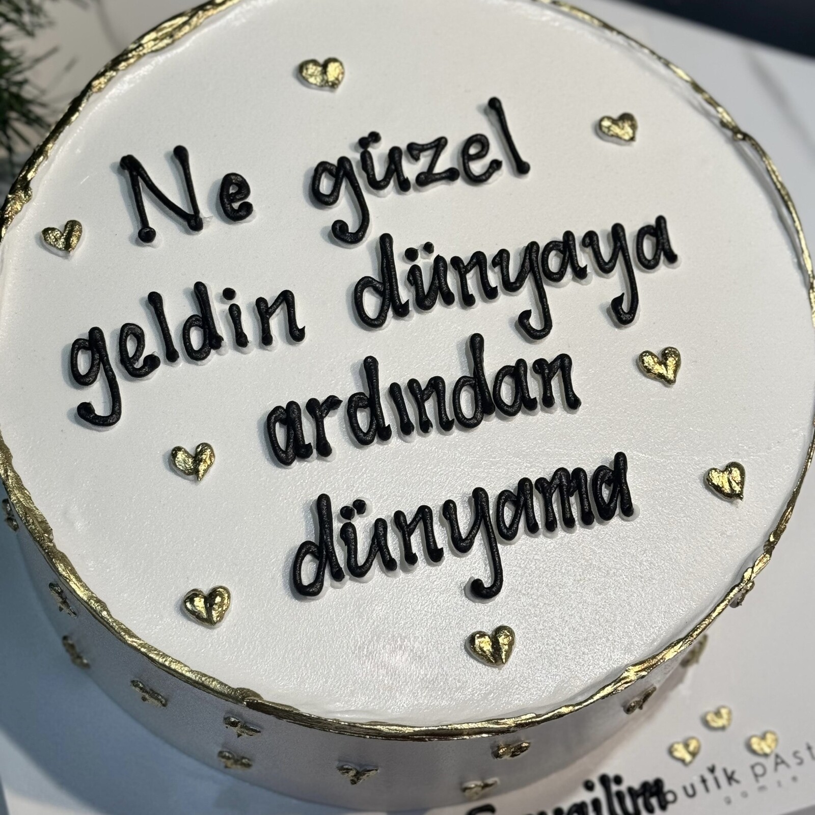 Ne Güzel Geldin Dünyaya Ardından Dünyama Yazılı Minik Kalpli Pasta