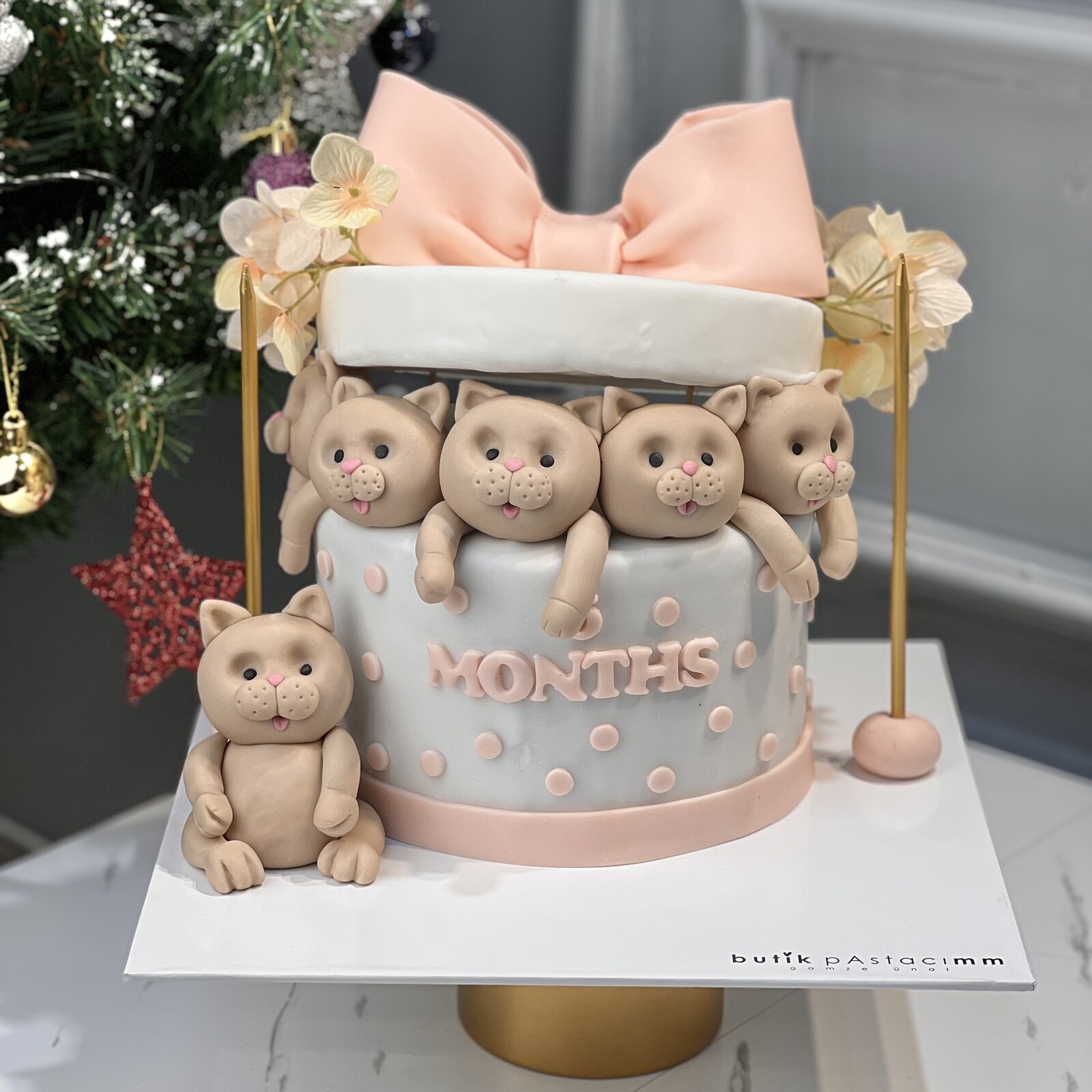 Sevimli Kediler Pastası