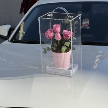 Pembe Güllü Saksıda Çiçek Pasta (Özel Tasarım Kutu)