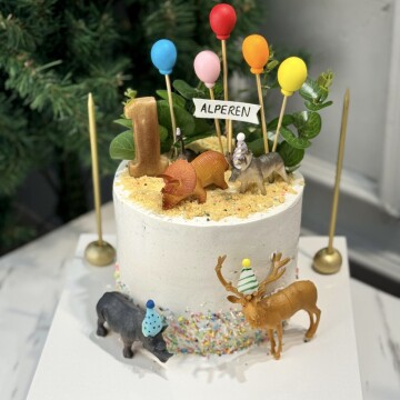 Safari Temalı Çocuk Pastası