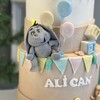 Safari Çocuk Pastası 3